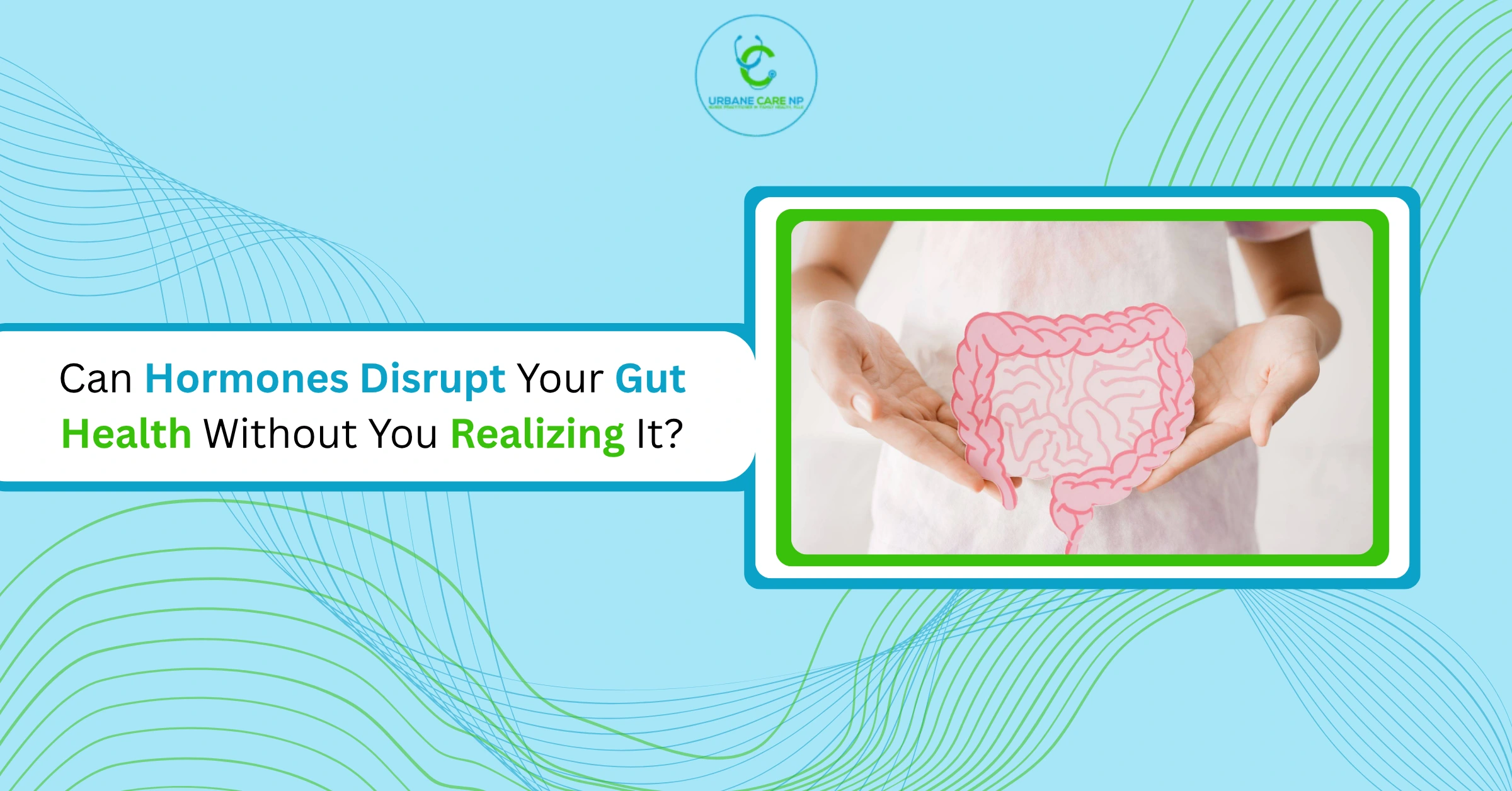 Can Hormones Disrupt Your Gut Health Without You Realizing It?