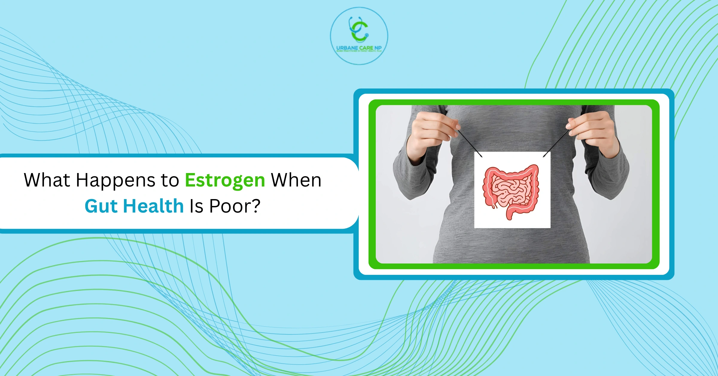 What Happens to Estrogen When Gut Health Is Poor?