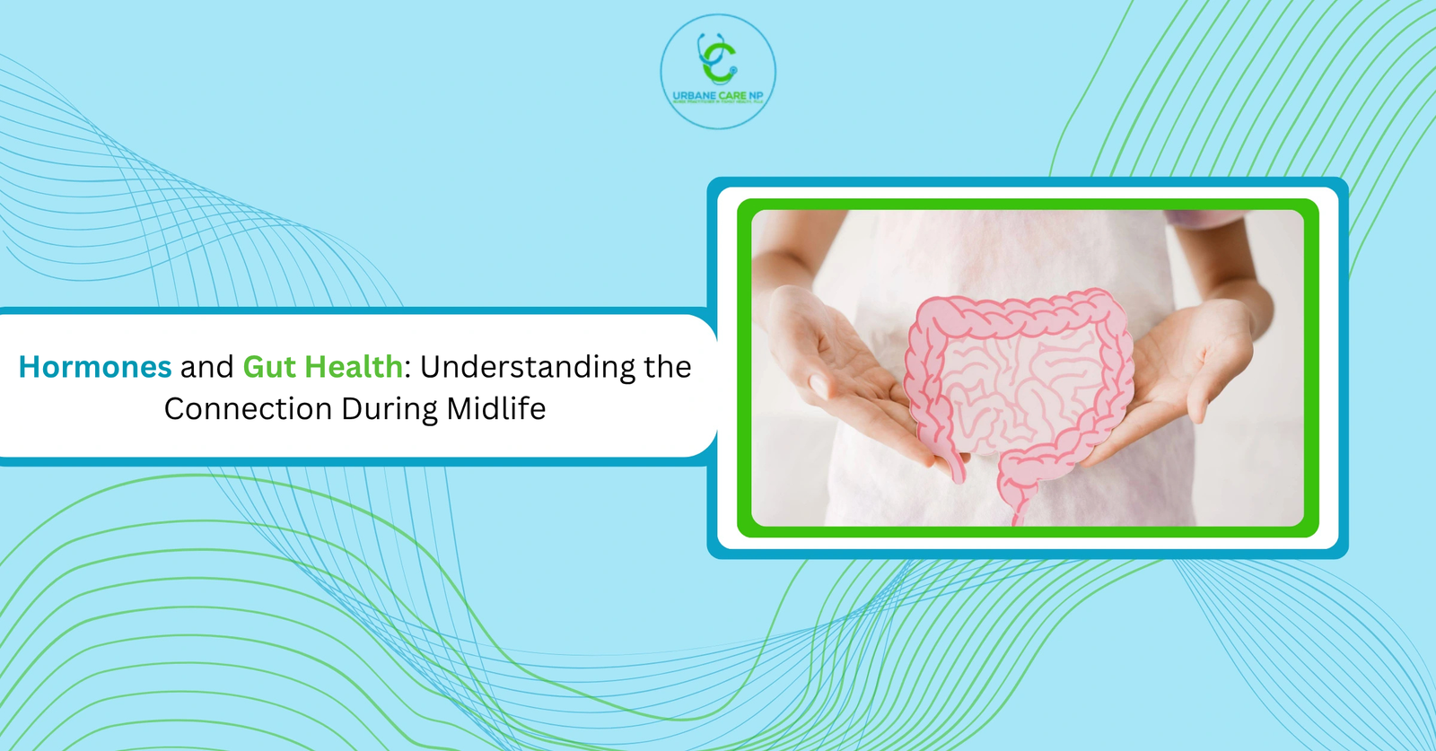 Hormones and Gut Health: Understanding the Connection During Midlife